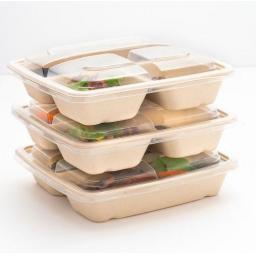 BePulp 3 Compartment Container PUL49348.jpg