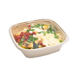 Bepulp Bowls Bagasse.jpg