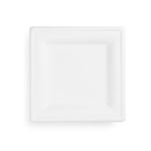 Square 10" Strong White Paper Plates - Bagasse Compostable Dinner Starter Side - 26cm