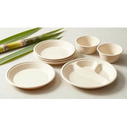 What Is Bagasse The Compostable Packaging Material Behind Your Takeaway Trays.png